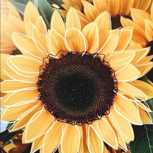 Meet your Posher, Emmi - Picture 1 of 1